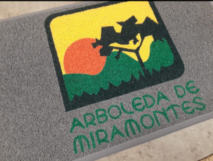 Screenshot_20200306-105024